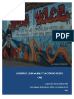 Informe Cali- Juventud en Riesgo 2011