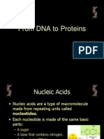 Protein Synthesis Lecture Powerpoint