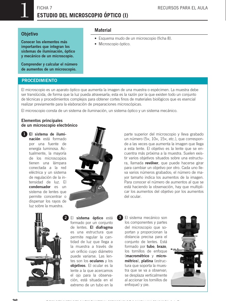 El Microscopio Optico | PDF | Microscopio | Radiación electromagnética