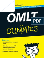 OMLT_for_Dummies_9517.pdf