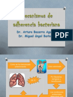 Mecanismos de Adherencia Bacteriana