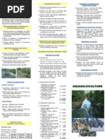 Crayfish Farming in The Philippines | PDF