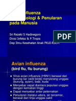 Avian Flu Transmission