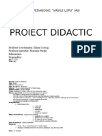 Proiect Didactic Grupa Mare