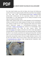 Contoh Format Berita Acara Penyelesaian Pekerjaan (Bapp)