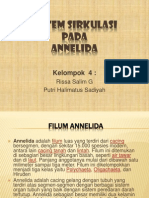 About Annelida