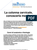La Colonna Cervicale, Conoscerla Meglio - Riabilitazione - Atrosi - Fisioterapia
