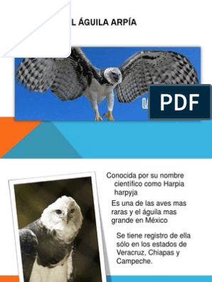 El Águila Arpía | PDF | Aves | Organismos