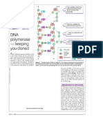 DNA Polymerase - Keeping You Cloned