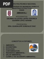 Exp Ambiental1