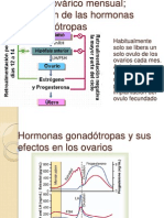 Ciclo Ovárico Mensual