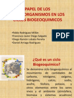 Papel de Los Microorganismos en Los Ciclos Biogeoquimicos