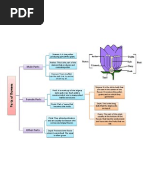 Parts of Flowers
