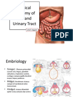Clinical Anatomy of GIT and Urinary Tractnary Tract 