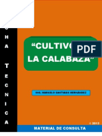 Ficha Técnica: Calabaza 2013.