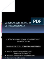 Circulacion Fetal