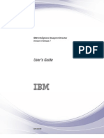 IBM Infosphere Blueprint Director v8 7 User Guide