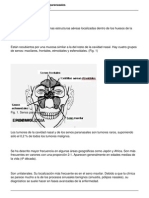 Tumores Nasales y de Senos Paranasales