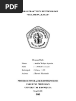 Download Laporan Praktikum Bioteknologi - Isolasi DNA Kasar by Amilia Agustin SN125283994 doc pdf