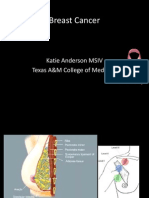 Breast Cancer: Katie Anderson MSIV Texas A&M College of Medicine