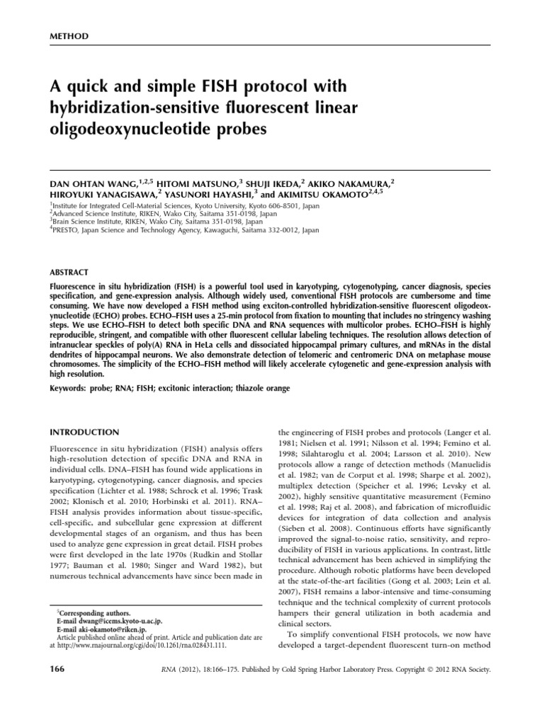 A Quick and Simple FISH Protocol With Hybridization-Sensitive ...