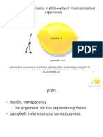 Phil253 Perceptual Experience