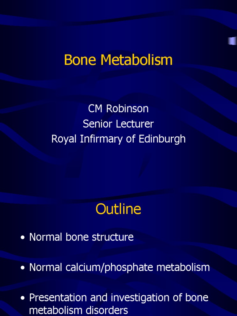 Understanding Bone Metabolism Disorders | PDF | Bone | Osteoporosis