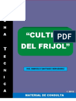 Ficha Técnica: Frijol 2013.