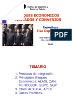 90464838-BLOQUES-ECONOMICOS-26-07-08