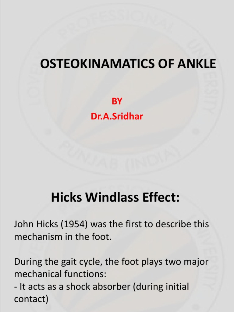 Windlass Effect Ankle Joint PDF Foot Ankle