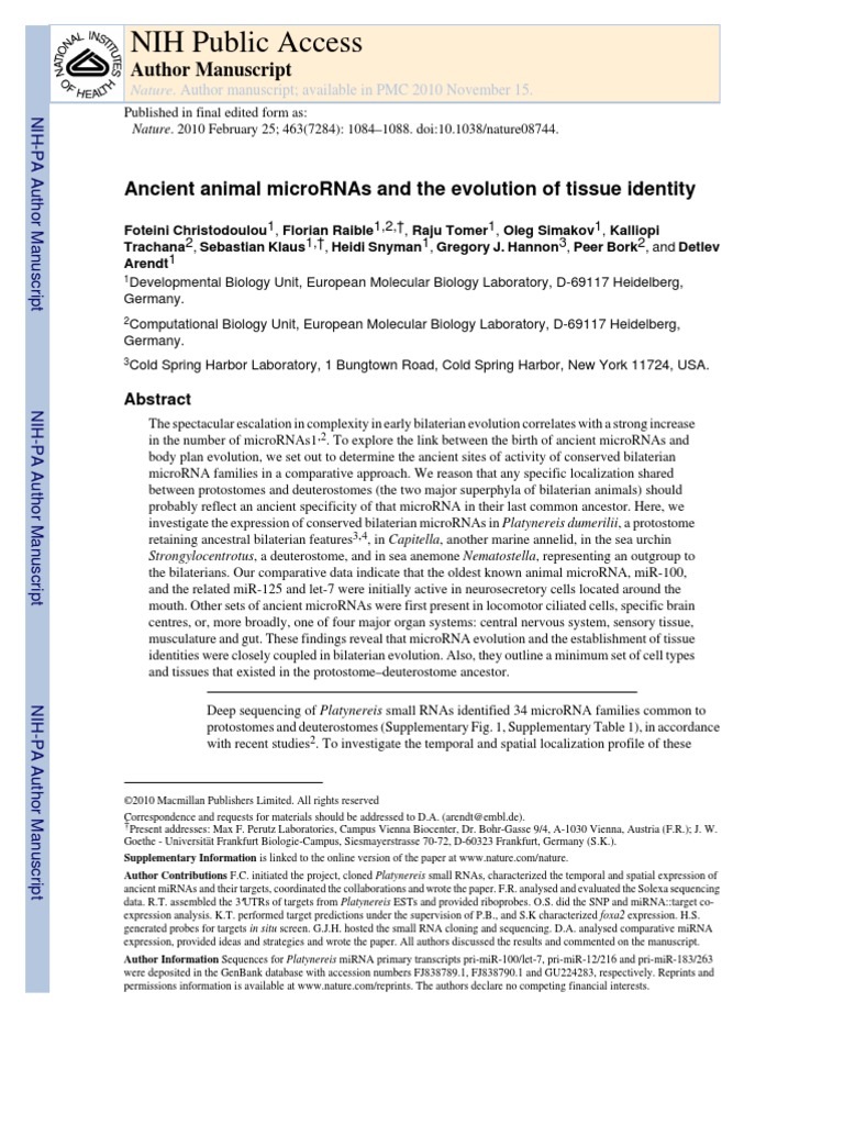 Ancient Animal MicroRNAs and The Evolution of Tissue Identity | PDF ...