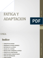 Fatiga y Adaptación