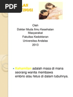 Download Penyuluhan Kehamilan Risiko Tinggi by Meiustia Rahayu MD SN125460918 doc pdf