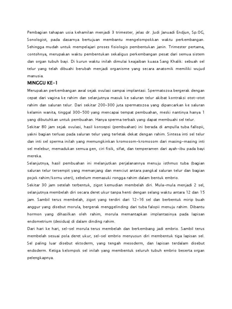 Pembagian Tahapan Usia Kehamilan Menjadi 3 Trimester