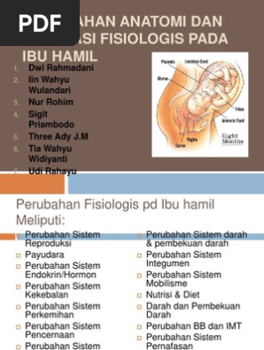 Perubahan Anatomi Dan Adaptasi Fisiologis Pada Ibu Hamil