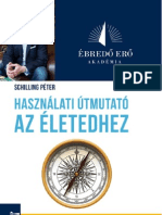 Használati Útmutató Az Életedhez - Mintaelemzés