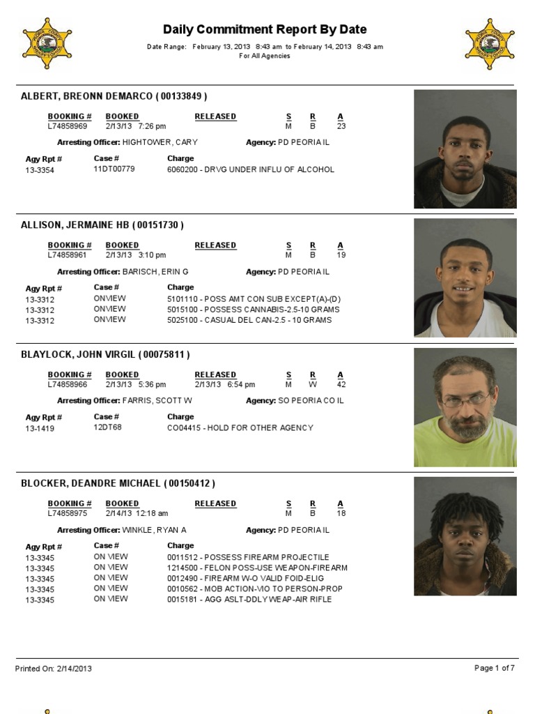 Peoria County Daily Commitment Report PDF Social Science Law