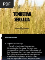 Codex for Ice Cream  Cream  Milk