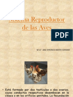 Sistema Reproductivo de Las Aves2