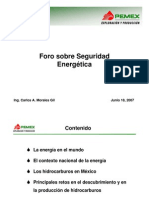 Foro Sobre Seguridad Energetica_carlos_morales