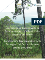 Libro Conifertum 26 Ene 012