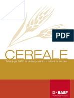 Cereale - Boli La Grau Si Orz