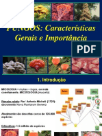 1797 - Fungos - Caracteristicas Gerais e Importancia