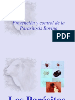 DECTOMAX-Parasitosis Bovina