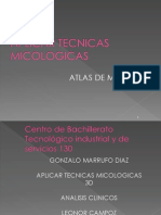 Atlas de Micosis