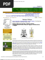 Download Pohon Batang Garing_ Dunia Dalam Pengetahuan Suku Dayak Ngaju Kalimantan Tengah _ Melayu Online by koesanto SN125585901 doc pdf