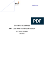 BEx User Exit Variables