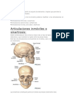 Articulaciones Complete