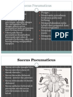 saccus pneumaticus