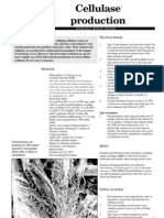 Cellulase Production Protocol
